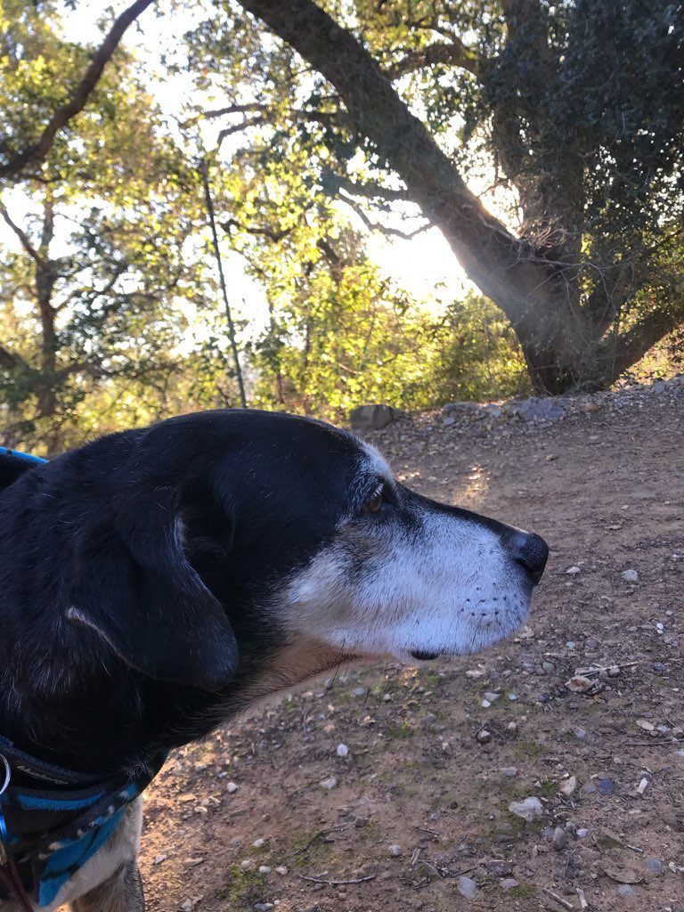 Molly K. (Rancho Matilija)