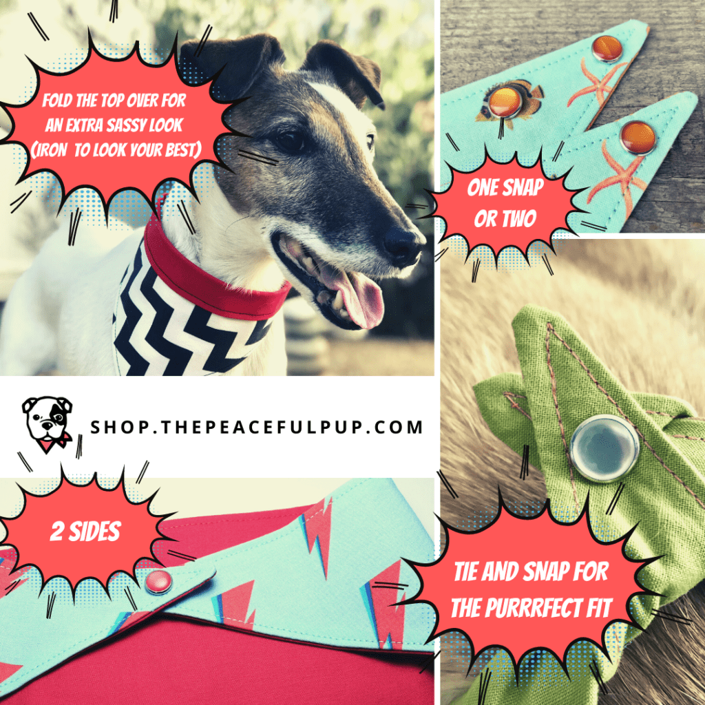 Wearable Art Pet Bandanas | The Peaceful Pup
